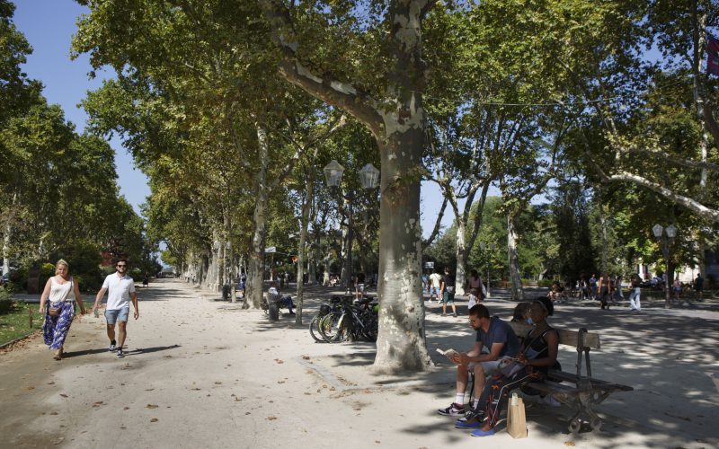 parisinmontpellier©ociitanie-films_126