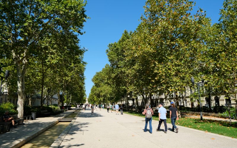 parisinmontpellier©ociitanie-films_186